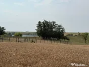 Teren intravilan Miersig, vedere la lac. 12,5 E/mp neg. C... 