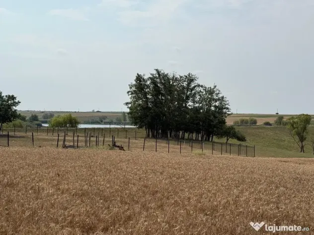 Teren intravilan Miersig, vedere la lac. 12,5 E/mp neg. C...