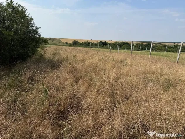 Teren intravilan Miersig, vedere la lac. 12,5 E/mp neg. C...