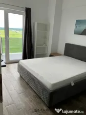 Apartament 1 camere zona Doamna Stanca