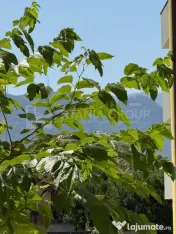 Apartament 3 camere modern, parcare, boxa - Top City Coresi