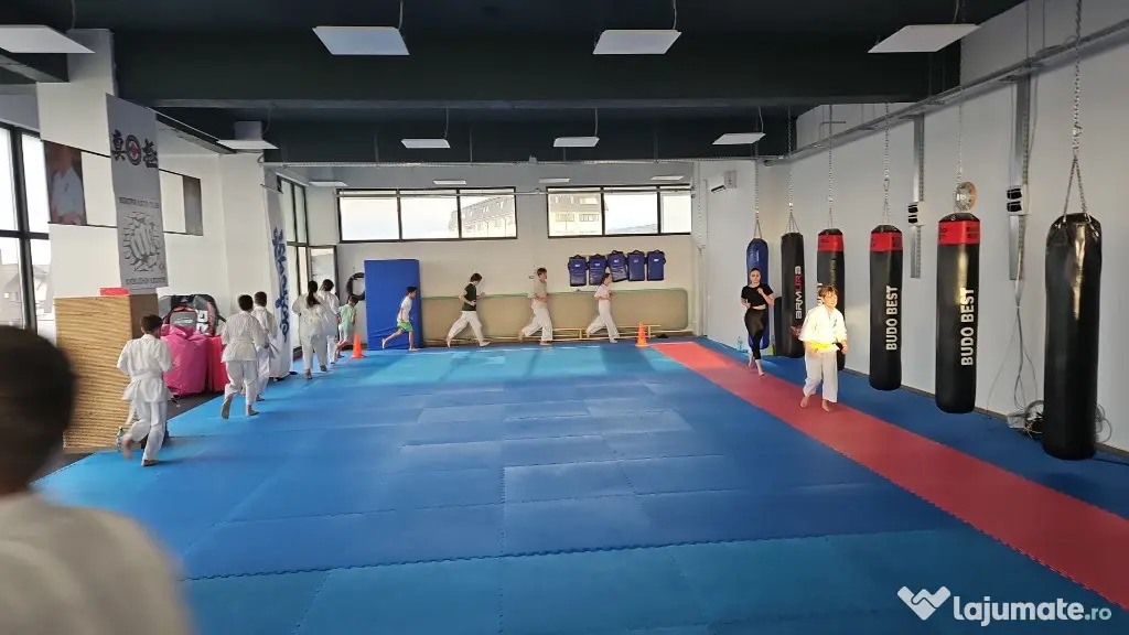 Închiriere sala sport pretabila fitness,gimnastica,arte martiale,Sud