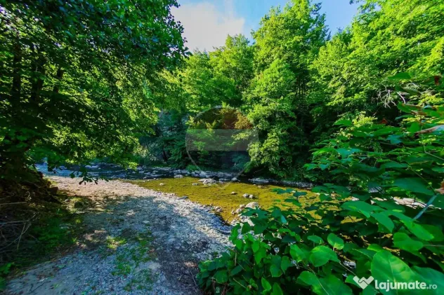 Casa de vacanta cu foisor si acces la rau, de vanzare in ...