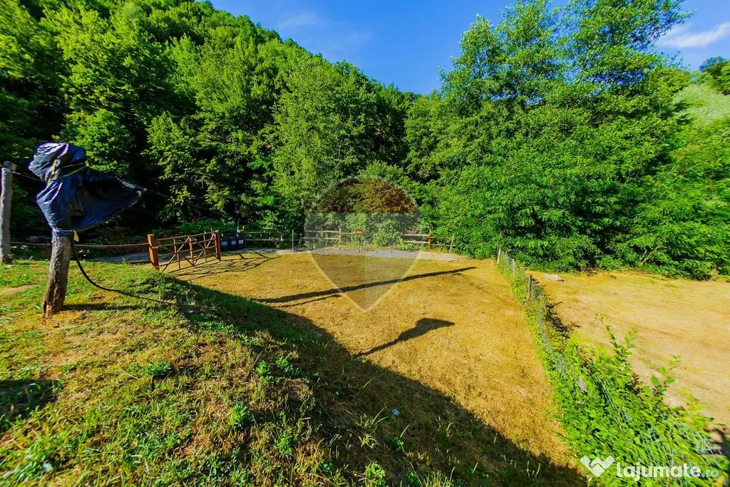 Casa de vacanta cu foisor si acces la rau, de vanzare in ...