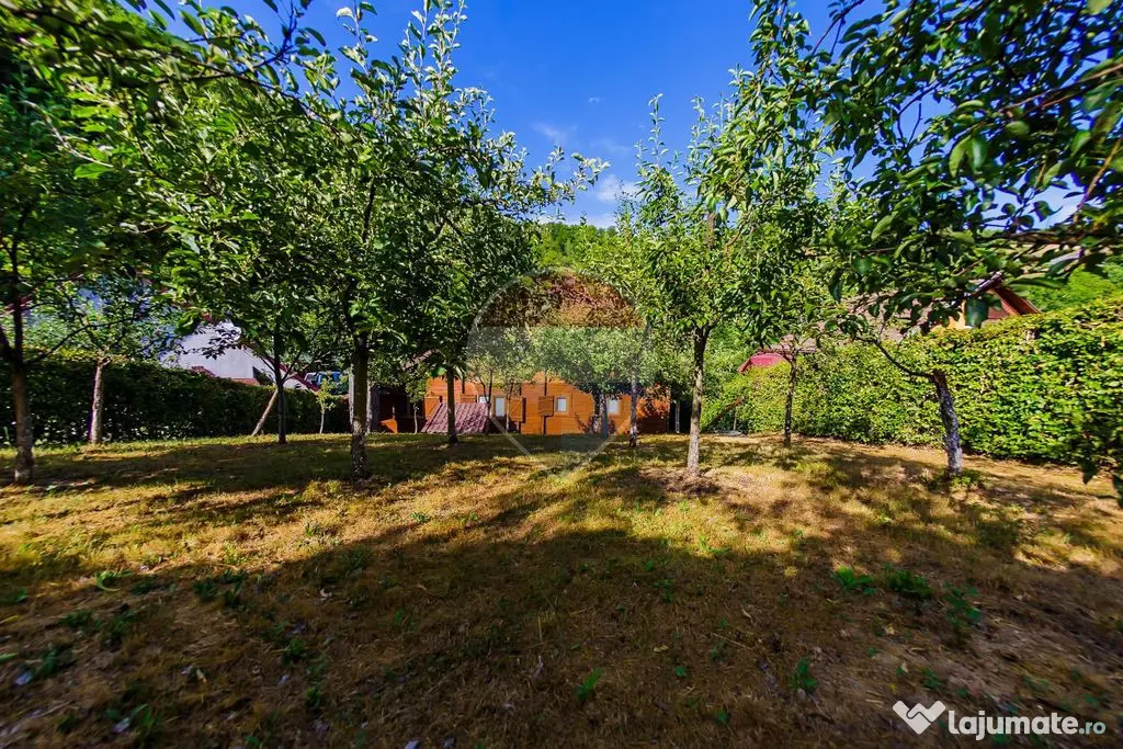 Casa de vacanta cu foisor si acces la rau, de vanzare in ...