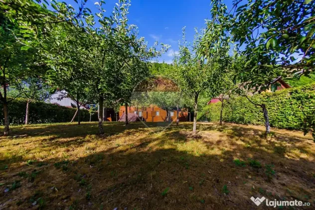 Casa de vacanta cu foisor si acces la rau, de vanzare in ...