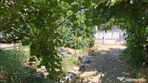 Casă de închiriat Saranga