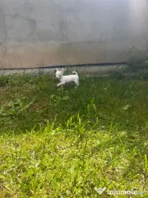 Garsoniera decomandata cu centrala proprie