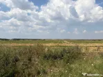 Cârcea – Teren 12.000 mp cu deschidere de 51,17 ml
