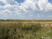 Cârcea – Teren 12.000 mp cu deschidere de 51,17 ml