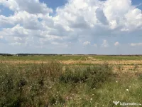Cârcea – Teren 12.000 mp cu deschidere de 51,17 ml 