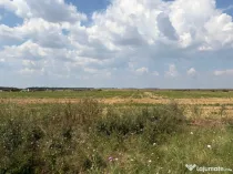 Cârcea – Teren 12.000 mp cu deschidere de 51,17 ml