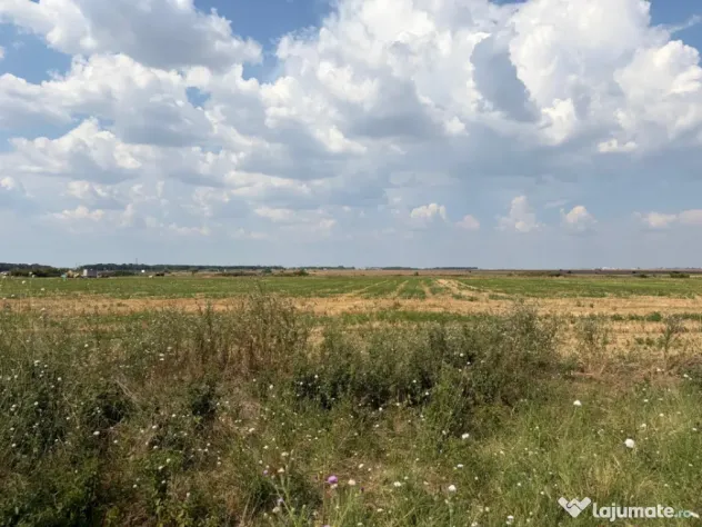 Cârcea – Teren 12.000 mp cu deschidere de 51,17 ml
