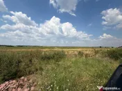 Cârcea – Teren 12.000 mp cu deschidere de 51,17 ml