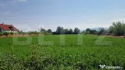 Teren intravilan 3800 m Posibilitate afacere sau casa de loc 