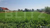 Teren intravilan 3800 m Posibilitate afacere sau casa de loc 