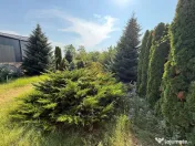 Casa de vanzare in Bacau Calea Romanului