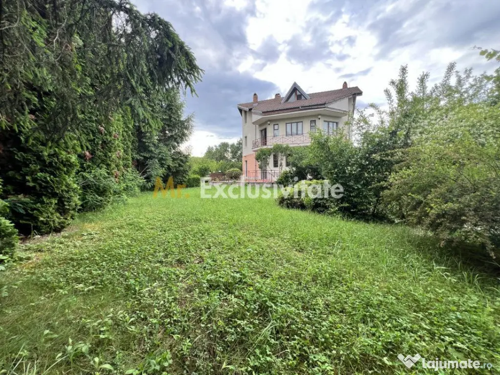 Acasă la Bascov- Județ Arges cu peisaj de poveste
