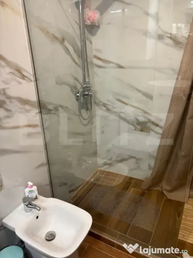 Apartament 2 camere, Paleu