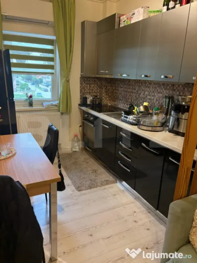 Apartament 2 camere, Paleu