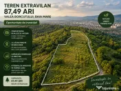 Oportunitate de investiție | Teren 87,49 ari – Valea Borc 
