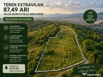 Oportunitate de investiție | Teren 87,49 ari – Valea Borc