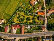 FILM! 2.700mp teren cu casa personalizabila, pomi fructiferi
