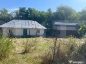 Teren intravilan 4.401 mp cu construcții, Văculești