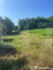 Teren intravilan 4.401 mp cu construcții, Văculești
