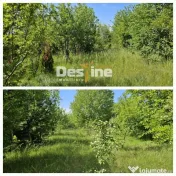 Tomesti-Chicerea, teren intravilan 3523 mp 