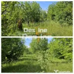 Tomesti-Chicerea, teren intravilan 3523 mp
