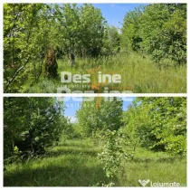 Tomesti-Chicerea, teren intravilan 3523 mp
