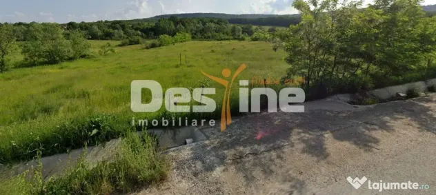 Teren intravilan 8000mp, Comuna Bârnova Iași - Pietraria (Iasi)
