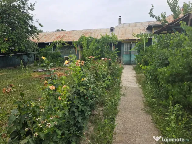 Vand casa comuna Mavrodin TR