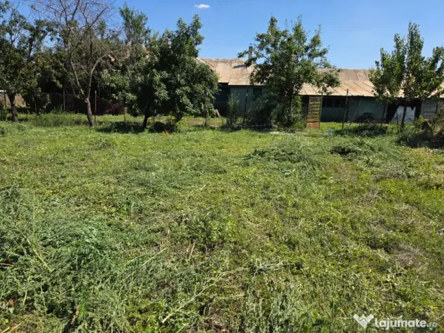 Vand casa comuna Mavrodin TR