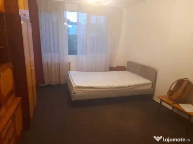 Chiria Garsionerea politehnica