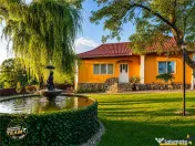 FILM! Doua case cu:piscina,foisor,arbori decorativi,1.700mp 