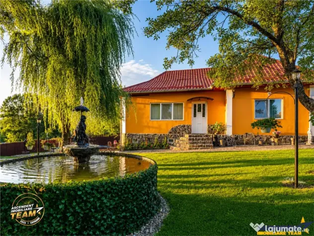 FILM! Doua case cu:piscina,foisor,arbori decorativi,1.700mp