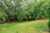 FILM! Doua case cu:piscina,foisor,arbori decorativi,1.700mp 