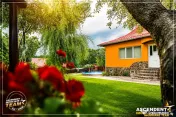 FILM! Doua case cu:piscina,foisor,arbori decorativi,1.700mp 