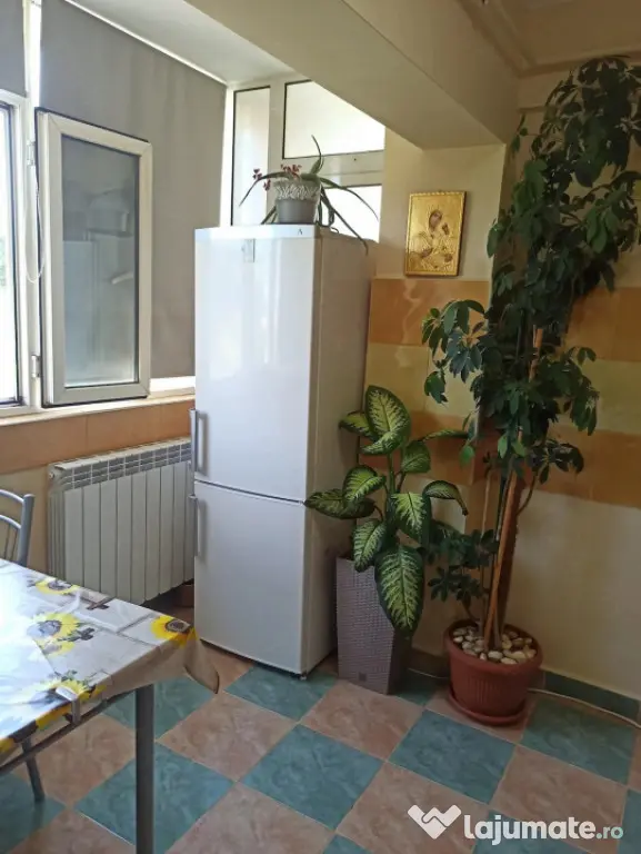 GARSONIERA CF 1 ,SUPRAFATA 36MP .