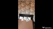 Apartament 2 camere I Victoriei 