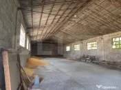 Spatiu industrial -HALE 3200 mp, 32.0000 MP teren INTRAVILAN
