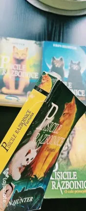 Seria I Pisicile Războinice