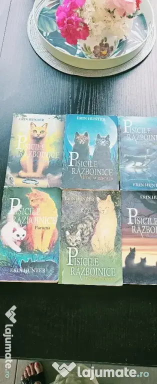 Seria I Pisicile Războinice