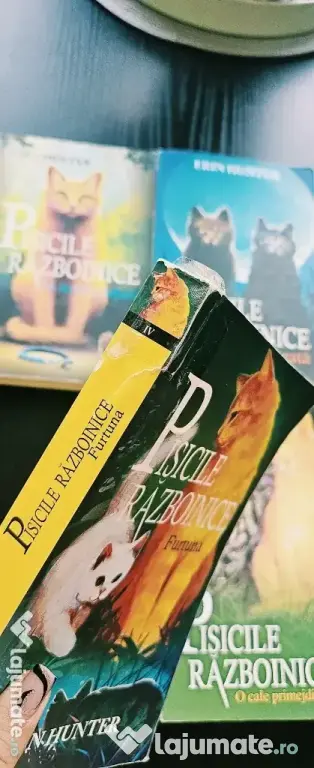 Seria I Pisicile Războinice