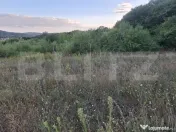 Teren extravilan 5.100 mp de vânzare în Livezeni Potenția 