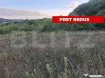 Teren extravilan, 5.100 mp, zona Livezeni