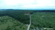 Teren 95,000mp Serbauti / Strada Principala 