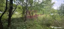 Teren de vanzare 1500 mp in Telega